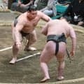 横綱のしこ名を継ぐ旭富士、序ノ口デビューから２１連勝　元十両・三田に完勝　３場所連続各段優勝に王手