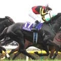 「寂しくなる」「鬼脚に脱帽」「もっと見たかった」Ｇ１牝馬アスコリピチェーノの電撃引退に惜しむ声相次ぐ
