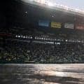 【阪神】中止の甲子園・中日戦は９月14日に代替開催　シーズン大詰めで優勝争い注目の時期