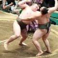 幕下丹治１敗対決制し優勝決定戦へ「一番だけじゃない可能性もあるので、楽しんでいきたい」