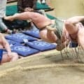 炎鵬　２３年春場所以来、関取として勝ち越し　豪快な下手投げ「人に支えられている感じがして、すごい力が出た」…脊髄損傷から奇跡の復活
