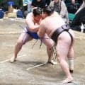 友風が７敗目　「当たった瞬間に相手の後頭部が見えました。あれは引いてしまいますよね」