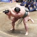 十両炎鵬　逆転の下手投げ炸裂「あの状況からすごい力が出ましたね」19場所ぶり勝ち越し決めた