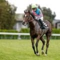 【葵S想定馬・騎手】ウチュウノセカイ、エイシンディードなど22頭