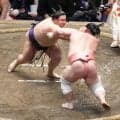 ３敗対決は義ノ富士が宇良を下し10勝目「同じ高さで戦えたことが」と舞の海氏が勝因分析
