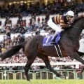 千葉サラブレッドセールでキタサンブラック産駒の牡馬が最高額の２億２０００万円　窪田芳郎氏が落札