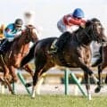 【目黒記念想定馬・騎手】ダノンシーマ、ファイアンクランツなど15頭
