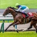 【安田記念想定馬・騎手】アドマイヤズーム、スズハロームなど20頭