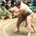 炎鵬　１９場所ぶり十両勝ち越し　豪快な下手投げで大逆転！「体よりも気持ちで相撲を取っている」