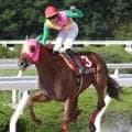 【高知競馬・福永洋一記念】底知れぬスタミナが武器のマルカイグアスを狙いたい　大恵陽子のイチオシ