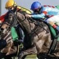 全兄は名馬イクイノックス イクシードがカーネーションCで確勝期す