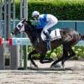 【平安S予想】帝王賞への重要なステップレース 先行力を重視したい京都1900m戦