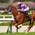 今村聖奈がオークス騎乗へ…女性ジョッキー騎乗馬