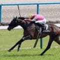 【競馬予想】オークスは「縁のある血統」から２頭に期待　本命は、2014年にレースを制した母と枠番も同じ２勝馬