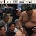 「え、親方の後ろに」“ただならぬ”存在感の人物に驚きの声「座っておられる」