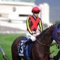 香港G1へ態勢整う、ローシャムパーク＆ディープモンスター順調…香港最強ロマンチックウォリアーに挑む