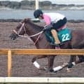 良血馬の復帰戦は惜しくも２着「化け物になると思う」「あの走りなら...」ファンは悲喜こもごも　チェルヴァーラは２着