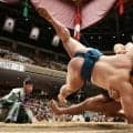 「次の優勝力士は？」「自分です」　初の結び、大関戦で琴栄峰が善戦