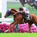 【京都９Ｒ・メルボルンＴ】８番人気の伏兵テイエムアイランがまんまと逃げ切り　松山弘平騎手「最後までしぶとく、強かった」