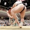 友風が７勝目　決まり手はすべて得意のはたき込み　「すべてはたき込みで勝ち越し？　そんなにうまく行くかどうか」