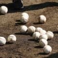記録員に詰め寄り…「侮辱的発言」　監督＆選手が出場停止処分、プロ野球で異例の裁定