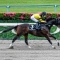 【欅S結果】ドンインザムードが59キロを背負って7馬身差圧勝