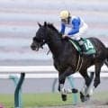【平安S】ロードクロンヌが鮮やか抜け出しV…ナルカミは直線で失速