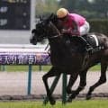 【競馬予想】末脚自慢が集結したオークス　距離延長も苦にしない先行馬２頭が高配当をもたらす
