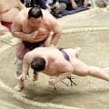 義ノ富士が４敗目で優勝争いから後退　藤凌駕に逆転負け