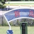 【新潟4R】京都金杯覇者コレペティトールが障害連勝　7馬身差圧勝で能力示す
