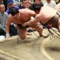 殊勲賞は霧島撃破の伯乃富士？「こんなに盛り上げて」２横綱２大関休場の千秋楽７人にＶの可能性