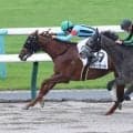 昆貢調教師がJRA通算500勝達成
