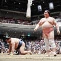 宇良４敗死守「特に何も」土俵際まで追い込まれながらも体そらして突き落とし　千秋楽は霧島と