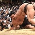 霧島は上体がそってしまって最後の一押しが足りない　優勝は霧島か若隆景のどちらか　４敗の力士はない　武蔵川親方が指摘