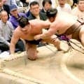 【元大関・琴風の目】千秋楽は、霧島と若隆景の優勝決定戦となる確率が７０％