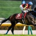 【今日の注目ポイント】3歳女王決定戦・オークス