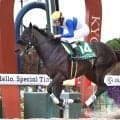 【平安Ｓ】ロードクロンヌ、帝王賞へ弾みの重賞２勝目　リオンディーズ産駒は今年重賞３勝目