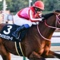 25年のBCスプリント4着馬 アメリカンステージが初の千直参戦だ