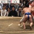 「宇良の上を行った」「身体能力すごい」宇良の取組で驚きの一コマ 土俵際、華麗な身のこなしに「行司が牛若丸に」ファン注目