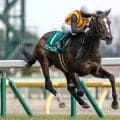【オークス予想】2ケタ人気で好走馬の共通点は？ 過去データから探るGIオークス
