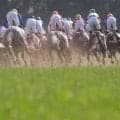 【オークス／馬場情報】直線は馬場の内目に痛みが目立つ土曜東京芝　内枠連対なしで狙いは外枠か