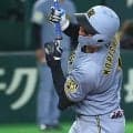 森下死球に不穏な空気も…巨人33歳の“さりげない気遣い”「やっぱいい選手」「敵なのに」