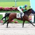 東京３Ｒで単勝７９５・４倍のテンカラットレターが３着　複勝における東京競馬史上最高額をマーク