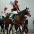 日曜京都競馬場の注目激走馬…京都１１Ｒ都大路ステークス（Ｌ）