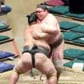 矢後が１勝６敗で夏場所を終える　「何一つ、良いところがなかったです」