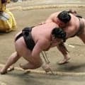 史上最多、6人による優勝決定戦の可能性も　大相撲夏場所・千秋楽