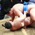３年ぶりに関取復帰の炎鵬、15日間の土俵に「すがすがしかったです」８勝７敗で夏場所終える