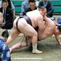 友風が勝ち越し　最後の決まり手は「はたき込み」ではなく「すくい投げ」