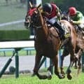【都大路S結果】ガイアメンテがレコードタイムで快勝