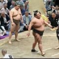 天空海が幕下Ｖ決定戦で敗れ初優勝ならず「いやー悔しい」　幕内・玉鷲からはねぎらい